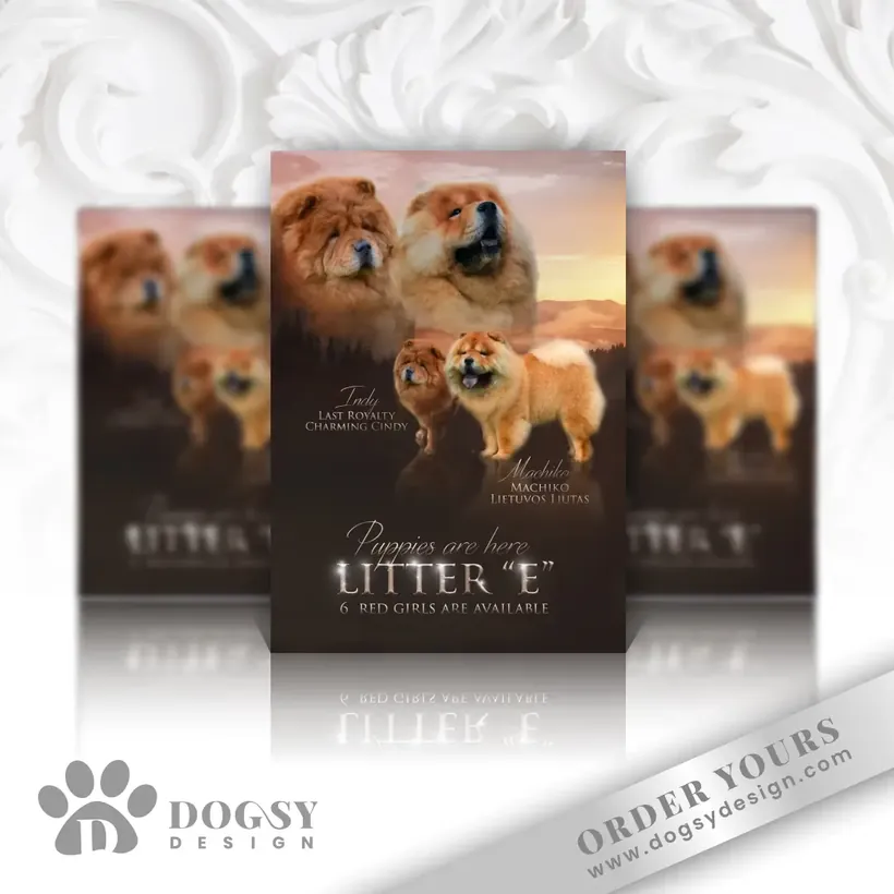 Litter announcement poster by Dogsy Design