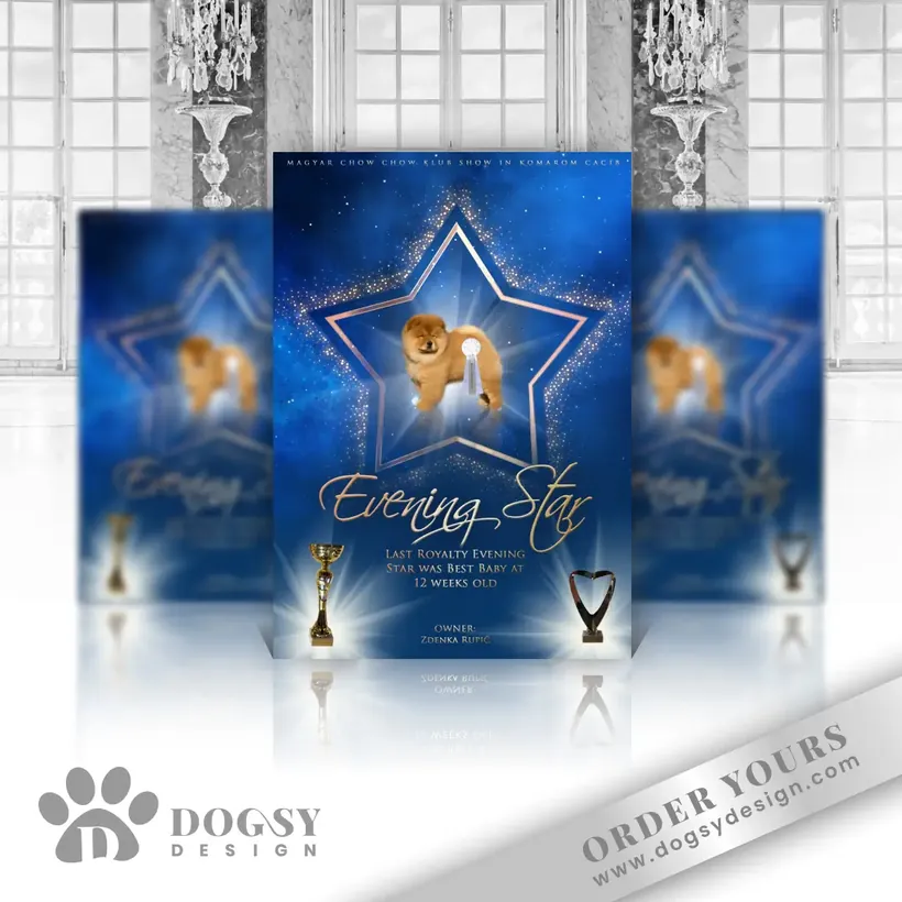 Evening Star show poster by Dogsy Design