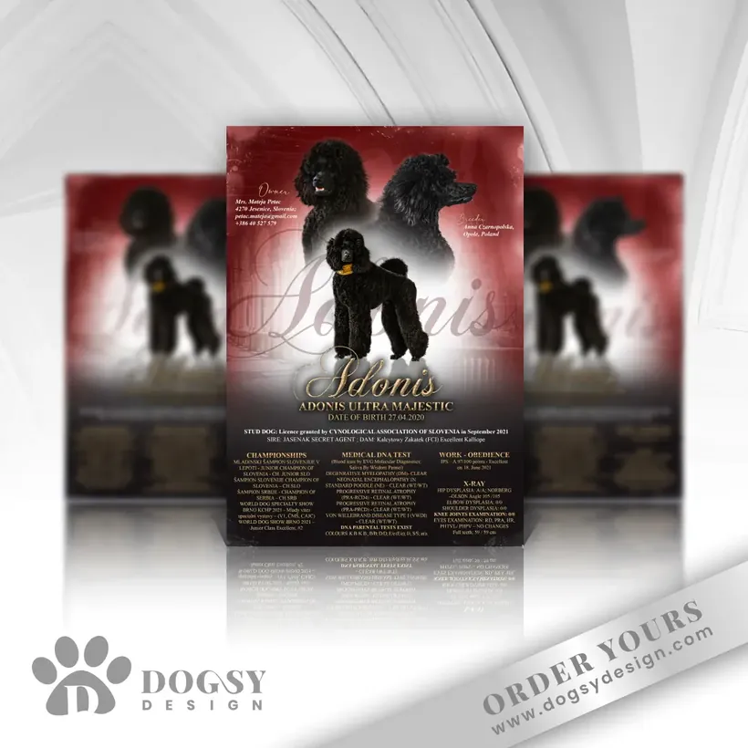 Poodle litter poster by Dogsy Design